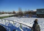 IMG_2141 (1280x960).jpg (95063 bytes)